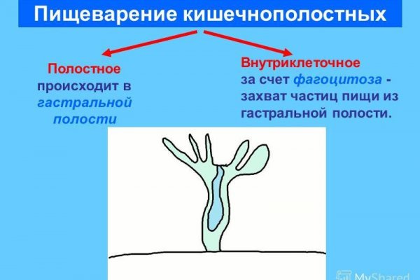 Кракен ссылка trikky
