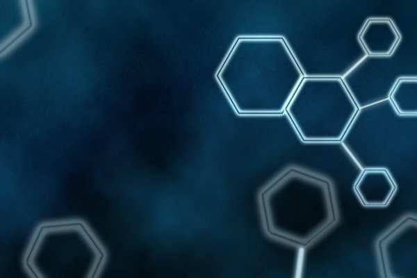Kraken forum