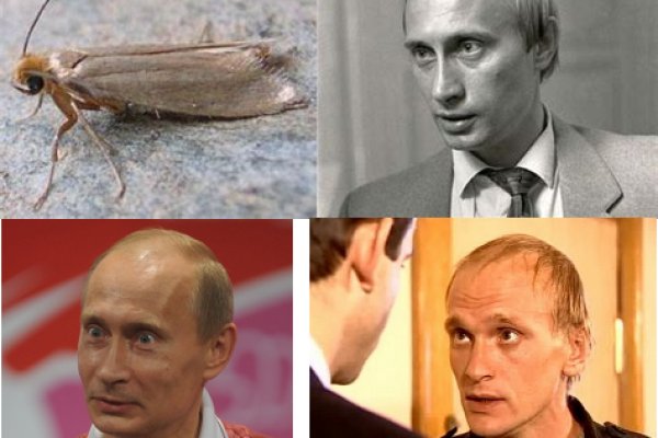 Kraken даркнет рынок ссылка