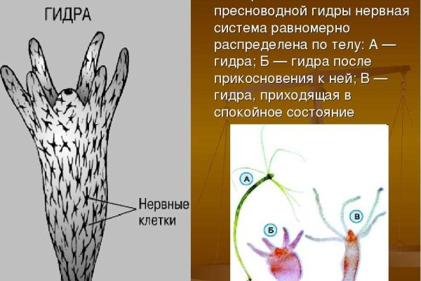Мега зеркала тор онион мориарти кракен