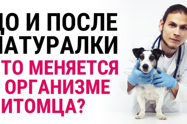 Кракен маркет тор