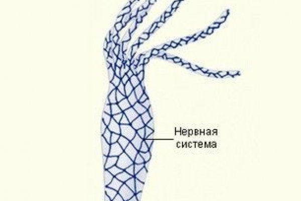 Кракен даркнет только через