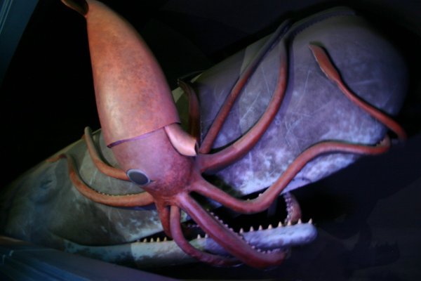 Кракен мониторинг ссылок kraken torion