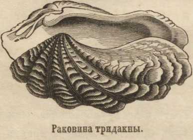 Kraken 12 at сайт